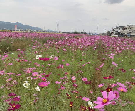 お話し倶楽部はじめます 何気ないことを話したい、聞いてもらいたい人に向けてのサービス イメージ1