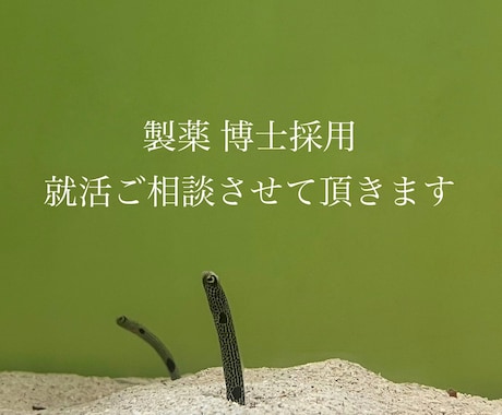 博士卒大手製薬研究職内定者が就活相談にのります 最新の博士就活事情わかります　バイオ系の製薬博士採用特化型 イメージ1