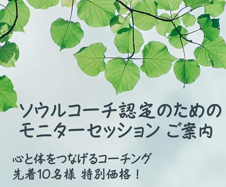この先の行動をどうすれば良いか に寄り添います ✴︎心と体を繋げることからはじめるコーチング✴︎ イメージ1