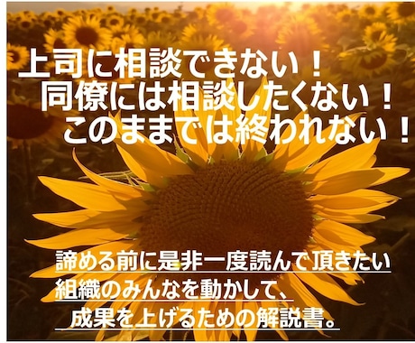 会社幹部、管理職が成功するためのヒントを共有します 鼓舞奮闘するリーダーのためのヒント、腑に落ちる解説 イメージ1