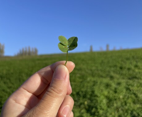 思念伝達とお返事をお伝えします どうしても伝えたいことがある人へ。 イメージ1