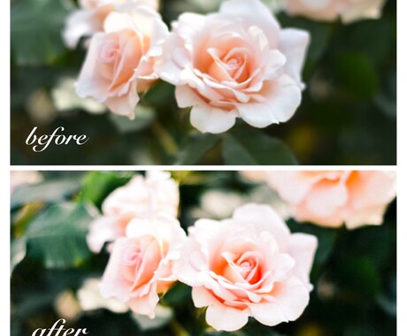 写真の加工します 写真の加工(レタッチ)をします イメージ1