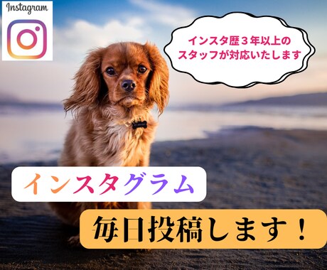 インスタグラムにて1日1投稿の運用代行します ＜instagram＞フォロワー増加の肝である投稿を代行 イメージ1