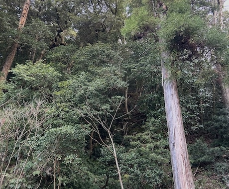 どんなお話も対応させていただきます どんなお悩みでもお気軽にお話下さい。 イメージ1