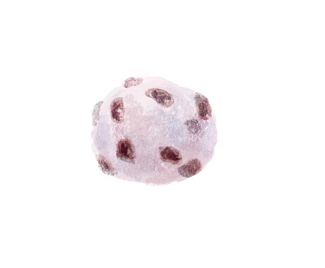 食べ物、飲み物のイラスト描きます リアルなテイストで食べたくなるようなイラストを！ イメージ2