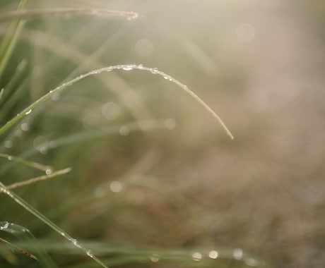 雨や曇りの日はここに電話☎︎ 心、晴れにします ＊突然襲ってくるココロ細さ、吐き出してみない？ イメージ2