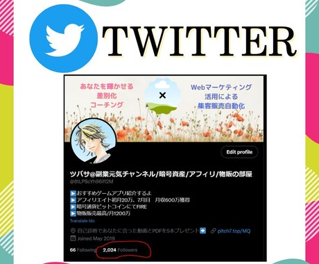 Twitterフォロワー1000人増やします twitter投稿頑張ってるのにフォロワーが伸びないあなたへ イメージ2