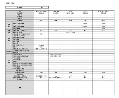 加入生命保険の一覧表作成します 見やすい一覧表を証券毎にまとめて作成 イメージ1