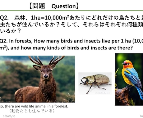 海外進出向け『英語プレゼン』の構成を請け負います 脚本構造×生物学データで世界を動かす国際プレゼンプロデュース イメージ1