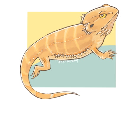 生き物の可愛いイラストを作成します ペット・好きな生き物を手描き感のあるイラストにします！ イメージ1