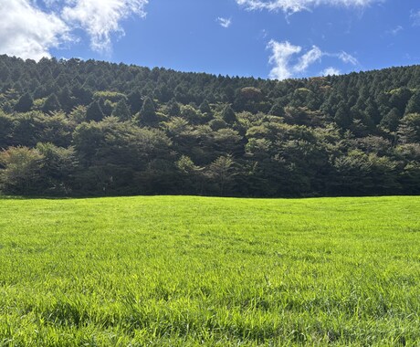 生きづらさ解消するサポートをします わたしのこれまでの経験やカードを使って楽しくお話します。 イメージ1