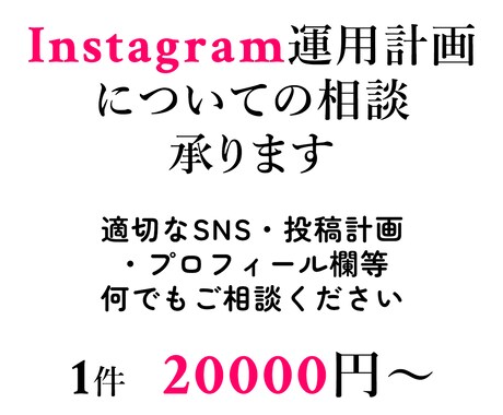 Instagram運用計画の相談承ります Instagramでの集客へ向けた運用計画をお作りします イメージ1