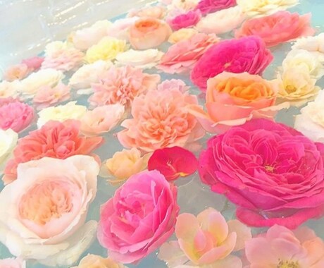 Instagramの投稿写真の相談や編集を承ります インスタを魅了的でワクワクするものにしませんか？ イメージ1
