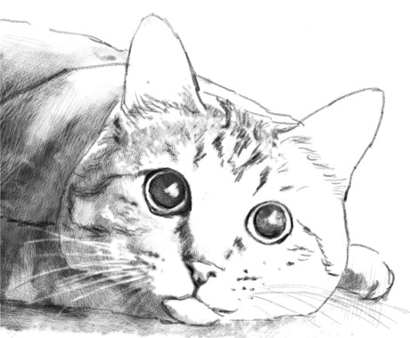 ペットの鉛筆画風の似顔絵CGイラスト作成します やわらかいタッチのおしゃれなモノクロ鉛筆画風のイラスト イメージ2