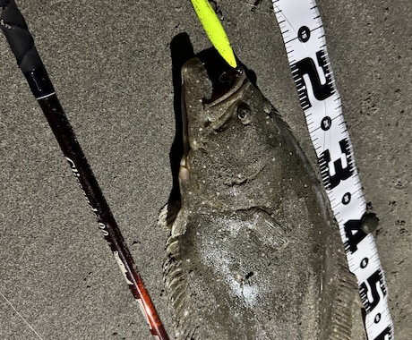 キャスト性能向上とサーフでの魚の釣り方を教えます 周りと差をつけるキャスト、よりキャッチ率を上げる考え方 イメージ1