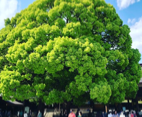 あなたの悩み、愚痴、モヤモヤを聞きます お話をして、心を軽くしませんか？ イメージ1