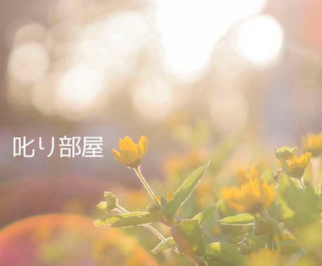 ダメだな〜と思う氣持ちを優しく叱って背中を押します あなたの行動をブロックするネガティブさを叱って、新しい自分へ イメージ1