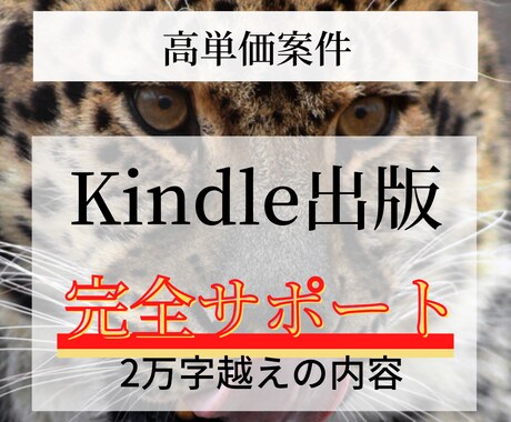 高単価！Kindle出版サポート全ノウハウ教えます 一撃20万円超えのロードマップ！不明な点はサポート致します イメージ1