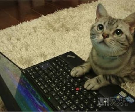データ入力やデータ処理、お手伝いします 猫の手も借りたい、忙しいそこのあなたをお手伝いします！ イメージ1