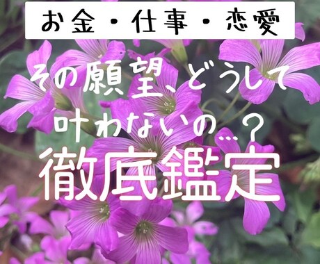 2日間、質問し放題500円♡あなたの願望叶えます 【質問無制限♡】【即返信！】納得できるまで徹底鑑定致します。 イメージ1