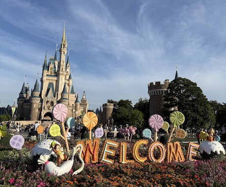 当日ディズニー回り方をコンサルティングします パーク入園後、待ち時間や天候を配慮した最適解をお伝え！ イメージ2