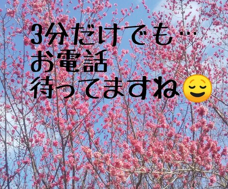 不倫や秘密の恋に関する相談お手伝いします 体も固いが口も固いおとなりさん イメージ1