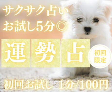 お試し♡5分でサクッと、今の運勢を占います 【2月末まで♡1分200円→100円初回限定】短時間OK♡ イメージ1