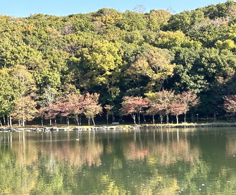 子育て全般のお悩みを傾聴させていただきます 。楽しくお子さまの未来を一緒に！ イメージ1