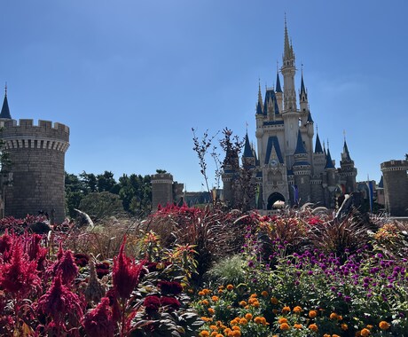 ディズニーへ行く前の事前相談のります ディズニーへ行く前にお困り事があればお助けします！ イメージ1