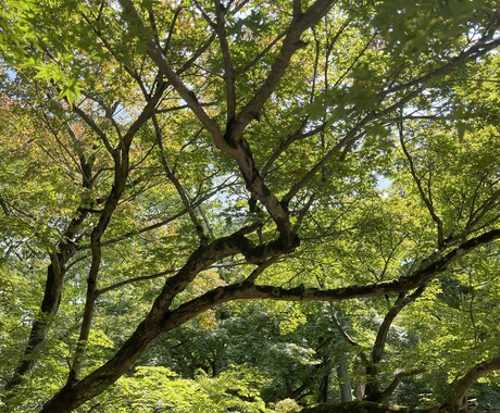 心の気持ち 迷いを聴きます 心に寄り添います。少しスッキリしてエネルギーを☺️ イメージ2