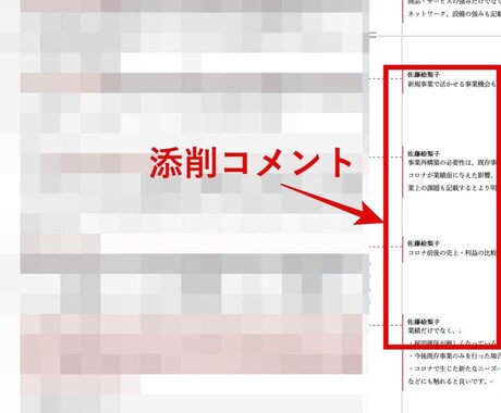 プロが補助金の事業計画書の添削を安価で承ります 【対象補助金は詳細へ】申請者・士業・支援者にも対応！採択多数 イメージ2