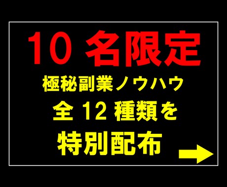全12個の極秘副業ノウハウを購入後即配布します 脅威の半額セール！もってるノウハウを全てお渡しします！ イメージ2