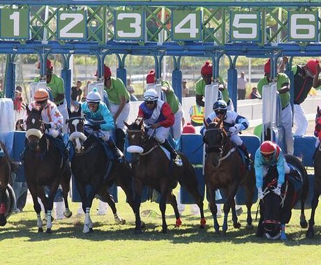 競馬結果ＣＳＶに自動で取り込む方法教えます 競馬の勝利を手にする鍵、CSVに閉じ込めよう！ イメージ1