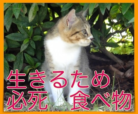 生きていれば下の世話も必要です。躾け方探します 良きパートナーになる為には、正しい接し方を学びましょう。 イメージ1