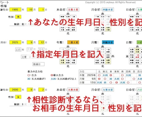 簡単に占える九星気学Excel版ソフトを販売します 生年月日・性別・指定年月日を入力すると自動で瞬時に結果表示！ イメージ2