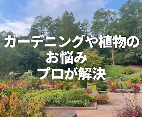 植物のお悩みプロの目でズバリ解決します 造園・土木・農薬の資格保有！確かな知識で植物をサポート！ イメージ1