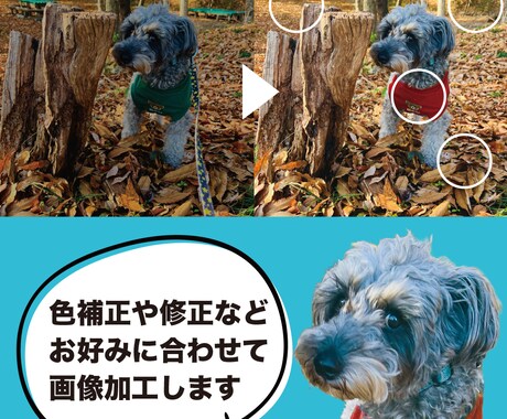 お好みに合わせた画像加工します 想い出の写真を美しく修正します！ イメージ1