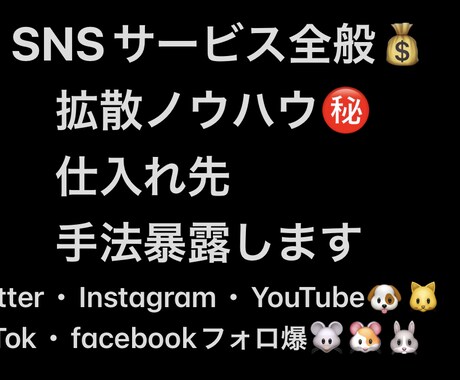 SNS拡散運用マーケティング副業仕入れ先暴露します ＸインスタTikTokYouTubeいいね再生数自由自在です イメージ2