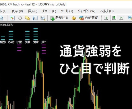 ５段階表示の通貨強弱インジを提供します ただいまこのサービスは受付中止とさせていただいております。 イメージ2