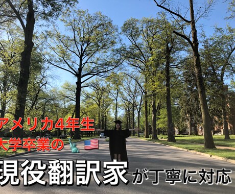 お手軽で即日！自然な英語で翻訳、英訳します スムーズでスピーディ、質の高い英翻訳を納得するまで提供します イメージ2