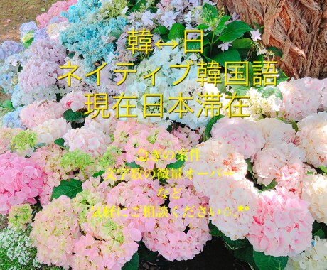 日↔韓 翻訳承ります イメージ1