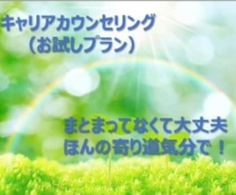 お試しキャリアカウンセリング　いたします 初めての方に、お試し価格でお悩みの整理のお手伝いします イメージ1
