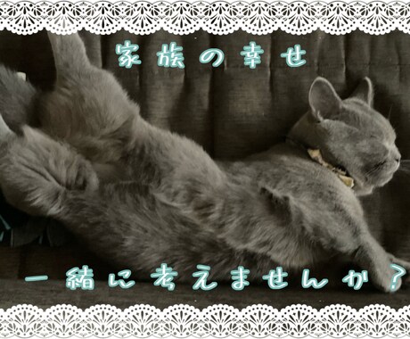ペットのお悩み相談お聞きします 猫を2匹飼っています。同じ猫飼いとしての悩み共有しましょう！ イメージ1