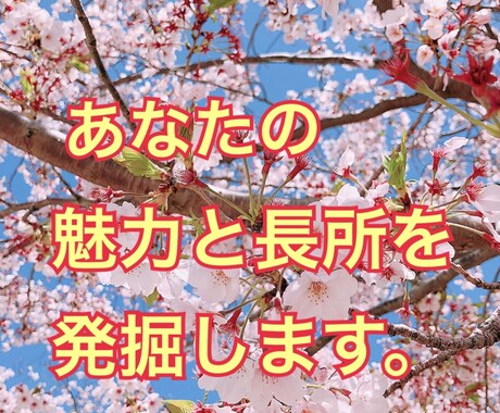 1～2時間の電話で、貴方の魅力と長所を文章化します 【就転職・ビジネス・受験】無自覚な魅力と長所を掘り起こします イメージ1