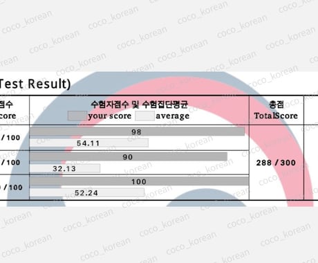 TOPIKII54番作文対策コース｜作文添削します ”TOPIK6級・쓰기90点”の講師がTOPIK作文を添削！ イメージ2