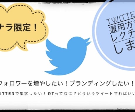 Twitterの運用方法教えます プロがTwitter運用についてアドバイスします！ イメージ1