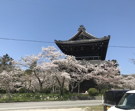 女性限定!2度の離婚経験から1分でもお聞きします 年齢制限はありません。子育て•離婚•不倫でお悩み方 イメージ1