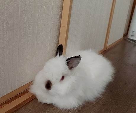 1人で悩まないで！気持ちに寄り添い癒します 泣いてもいいんです。心のマッサージをさせて頂きます。 イメージ1