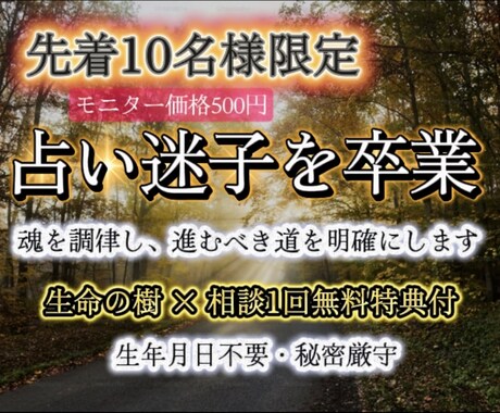 占い迷子卒業｜魂を調律し進むべき道を明確に導きます 占いでも晴れなかった不安を調律。迷わず動けるあなたへ イメージ1