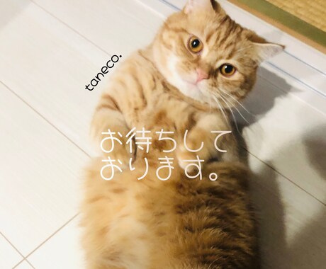問題をより深く分析し、具体的な対策を占います あなたも気づいていない、心の奥を読み解きます… ☆ イメージ1